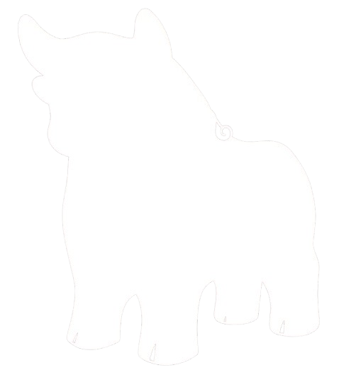 Logo AES